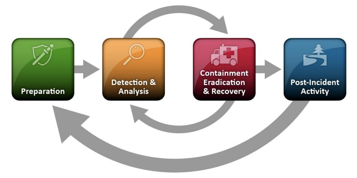 lifecycle